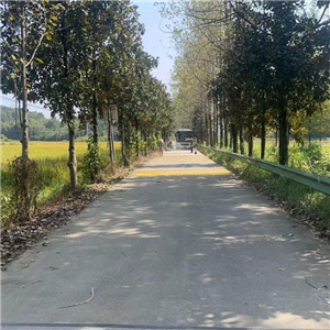 道路標線工程
