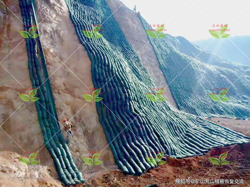 礦山坡面壘生態(tài)袋護坡植草技術(shù)